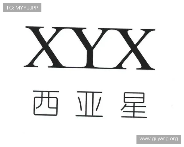 亚星代理管理网是干嘛的详细介绍及其在网络游戏行业中的核心作用解析